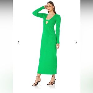 Darbi midi Dress-NWOT